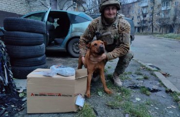 Підсумки благодійного збору для Олександра Бачуріна чоловічий волейбол, жіночий волейбол, пляжний волейбол, благодійний збір, звіт, війна росія україна